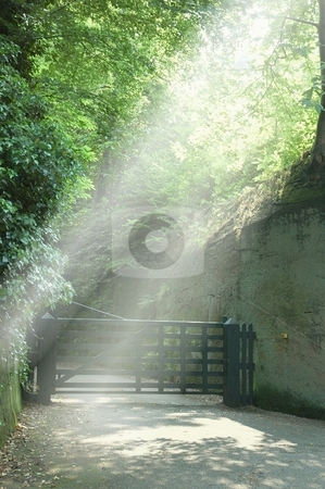 To use this stock image in your creative project, please select the size you need over to the right and click the "Add to Cart" button.
Your downloaded image will come with the Cutcaster watermark removed so don’t worry about the watermark you see on this page. Shafts of Sunlight stock photo, Eccleston by Ray Roscoe
