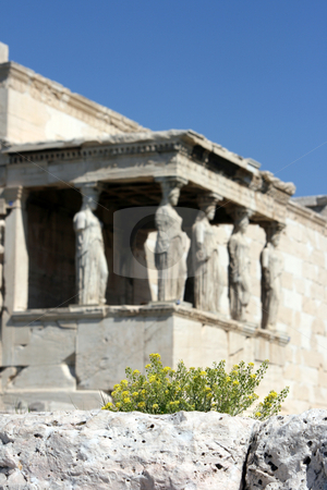 To use this stock image in your creative project, please select the size you need over to the right and click the "Add to Cart" button.
Your downloaded image will come with the Cutcaster watermark removed so don’t worry about the watermark you see on this page. Flowers and history stock photo, Spring flowers focus and blur background the temple of Erechtheum on acropolis of Athens Greece by EVANGELOS THOMAIDIS