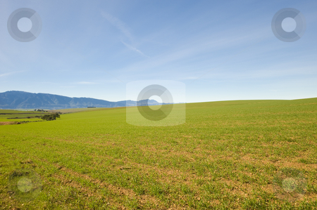 To use this stock image in your creative project, please select the size you need over to the right and click the "Add to Cart" button.
Your downloaded image will come with the Cutcaster watermark removed so don’t worry about the watermark you see on this page. Green Winter fields with blue skies stock photo, Green fields during Winter with blue skies. by Nicolaas Traut
