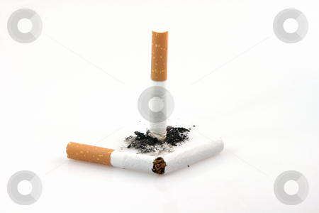 To use this stock image in your creative project, please select the size you need over to the right and click the "Add to Cart" button.
Your downloaded image will come with the Cutcaster watermark removed so don’t worry about the watermark you see on this page. Broken cigarette stock photo, Health and addiction concepts broken cigarette smoking isolated on white background by EVANGELOS THOMAIDIS