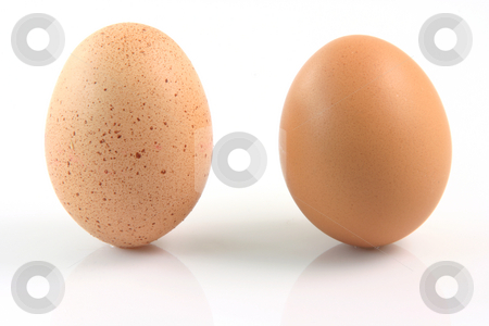To use this stock image in your creative project, please select the size you need over to the right and click the "Add to Cart" button.
Your downloaded image will come with the Cutcaster watermark removed so don’t worry about the watermark you see on this page. Different eggs stock photo, Two eggs one with spots and one with out spots isolated on white background difference concepts by EVANGELOS THOMAIDIS