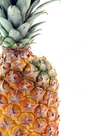 To use this stock image in your creative project, please select the size you need over to the right and click the "Add to Cart" button.
Your downloaded image will come with the Cutcaster watermark removed so don’t worry about the watermark you see on this page. Detail ananas isolated stock photo, Detail of ananas with copy space isolated on white background fruits vegetables and agriculture concepts by EVANGELOS THOMAIDIS