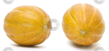 To use this stock image in your creative project, please select the size you need over to the right and click the "Add to Cart" button.
Your downloaded image will come with the Cutcaster watermark removed so don’t worry about the watermark you see on this page. Yellow melon stock photo, Yellow melon isolated on white background by Adrian Costea