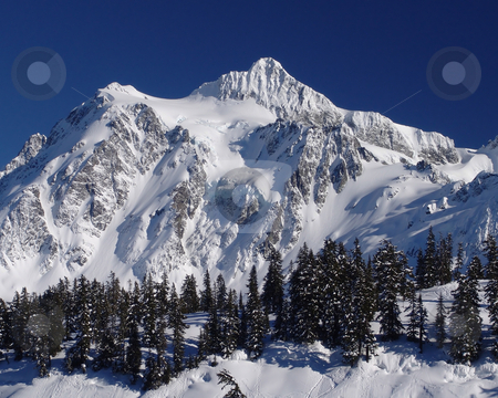 To use this stock image in your creative project, please select the size you need over to the right and click the "Add to Cart" button.
Your downloaded image will come with the Cutcaster watermark removed so don’t worry about the watermark you see on this page. Mt Shuksan with Deep Blue Sky stock photo, Mt Shuksan in the winter from the Mt Baker Ski Area. by Steve Stedman