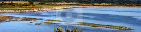 To use this stock image in your creative project, please select the size you need over to the right and click the "Add to Cart" button.
Your downloaded image will come with the Cutcaster watermark removed so don’t worry about the watermark you see on this page. Bay View Panorama stock photo, Panoramic photo of a bay with pilings and seagulls. by Steve Stedman