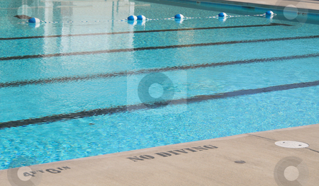 To use this stock image in your creative project, please select the size you need over to the right and click the "Add to Cart" button.
Your downloaded image will come with the Cutcaster watermark removed so don’t worry about the watermark you see on this page. Swimming Pool stock photo, A private swimming pool on a hot summers day. by Robert Byron
