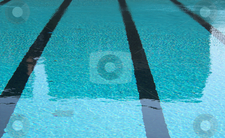 To use this stock image in your creative project, please select the size you need over to the right and click the "Add to Cart" button.
Your downloaded image will come with the Cutcaster watermark removed so don’t worry about the watermark you see on this page. Swimming Pool stock photo, A private swimming pool on a hot summers day. by Robert Byron