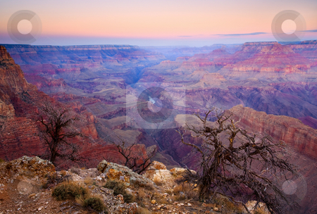To use this stock image in your creative project, please select the size you need over to the right and click the "Add to Cart" button.
Your downloaded image will come with the Cutcaster watermark removed so don’t worry about the watermark you see on this page. Desert Glow stock photo, The glow of a new day warms the cold confines of the Grand Canyon on a crisp autumn day. The Colorado river hides at the bottom of the canyon. by Mike Dawson