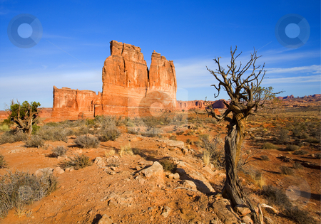 To use this stock image in your creative project, please select the size you need over to the right and click the "Add to Cart" button.
Your downloaded image will come with the Cutcaster watermark removed so don’t worry about the watermark you see on this page. Tower of Babel stock photo, The Tower of Babel in Arches NAtional PArk near Moab, Utah. by Mike Dawson