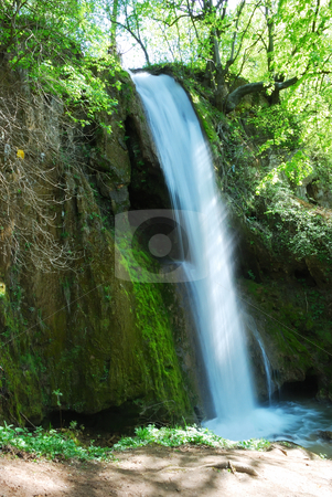 To use this stock image in your creative project, please select the size you need over to the right and click the "Add to Cart" button.
Your downloaded image will come with the Cutcaster watermark removed so don’t worry about the watermark you see on this page. Waterfall stock photo, A waterfall surrounded with rocks and plants by Ivan Paunovic