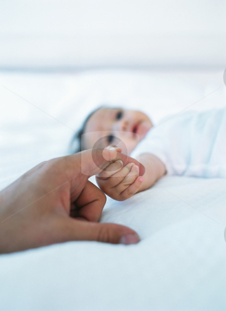 To use this stock image in your creative project, please select the size you need over to the right and click the "Add to Cart" button.
Your downloaded image will come with the Cutcaster watermark removed so don’t worry about the watermark you see on this page. Baby reaching out stock photo, by Mpixis World