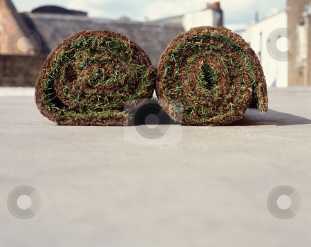 To use this stock image in your creative project, please select the size you need over to the right and click the "Add to Cart" button.
Your downloaded image will come with the Cutcaster watermark removed so don’t worry about the watermark you see on this page. MPIXIS610054 stock photo, Two rolls of turf by Mpixis World