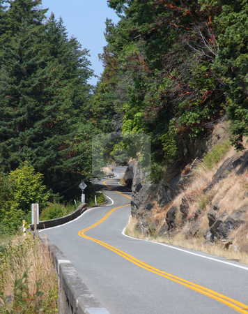 To use this stock image in your creative project, please select the size you need over to the right and click the "Add to Cart" button.
Your downloaded image will come with the Cutcaster watermark removed so don’t worry about the watermark you see on this page. Hillside Winding Road stock photo, Winding road along a cliff through the forest. by Steve Stedman