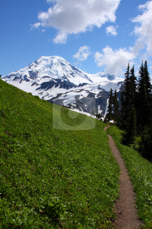 To use this stock image in your creative project, please select the size you need over to the right and click the "Add to Cart" button.
Your downloaded image will come with the Cutcaster watermark removed so don’t worry about the watermark you see on this page. Trail Portrait stock photo, Foot path in the late summer through a high mountain meadow headed towards the mountain. by Steve Stedman