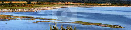To use this stock image in your creative project, please select the size you need over to the right and click the "Add to Cart" button.
Your downloaded image will come with the Cutcaster watermark removed so don’t worry about the watermark you see on this page. Bay View Panorama stock photo, Panoramic photo of a bay with pilings and seagulls. by Steve Stedman