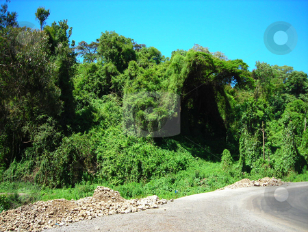 To use this stock image in your creative project, please select the size you need over to the right and click the "Add to Cart" button.
Your downloaded image will come with the Cutcaster watermark removed so don’t worry about the watermark you see on this page. Green Cove stock photo, Beautiful green cove created by shrubs, vines and trees on the roadside in Tanzania near Kenya border. by Rose Nthiwa