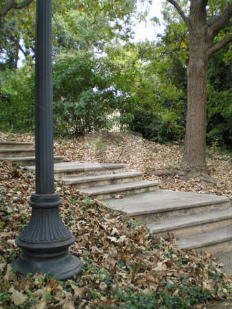To use this stock image in your creative project, please select the size you need over to the right and click the "Add to Cart" button.
Your downloaded image will come with the Cutcaster watermark removed so don’t worry about the watermark you see on this page. Stairway stock photo, A concrete stairway in the fall foliage by Sam Sapp