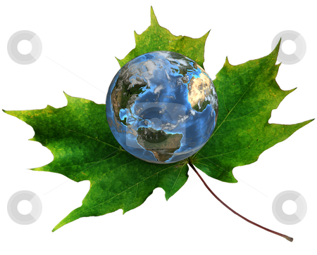 To use this stock image in your creative project, please select the size you need over to the right and click the "Add to Cart" button.
Your downloaded image will come with the Cutcaster watermark removed so don’t worry about the watermark you see on this page. Blue Earth on green maple leaf stock photo, A blue planet Earth rests on a green maple leaf. 3D render. by Michael Brown