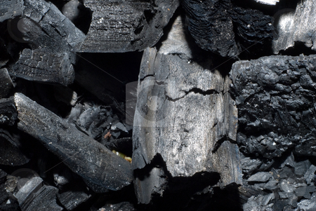 To use this stock image in your creative project, please select the size you need over to the right and click the "Add to Cart" button.
Your downloaded image will come with the Cutcaster watermark removed so don’t worry about the watermark you see on this page. Charred Wood stock photo, Macro view of some charred wood from a fire by Richard Nelson
