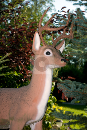 To use this stock image in your creative project, please select the size you need over to the right and click the "Add to Cart" button.
Your downloaded image will come with the Cutcaster watermark removed so don’t worry about the watermark you see on this page. Deer Lawn Ornament stock photo, An artificial deer being used as a lawn ornament by Richard Nelson