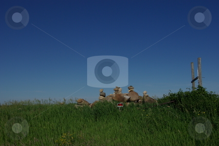 To use this stock image in your creative project, please select the size you need over to the right and click the "Add to Cart" button.
Your downloaded image will come with the Cutcaster watermark removed so don’t worry about the watermark you see on this page. Rock Cairn in Corner of Field stock photo, Rock cairns, heaps of stones arranged with a purposeful intent, can be traced back to early days of human history. This rock cairn in the corner of a northeast Iowa farm field represents a farmer's sense of humerous or whimsical art. Rock cairns in earlier times were used as markers for crossroads, trails, symbols and signs. by Dennis Thomsen