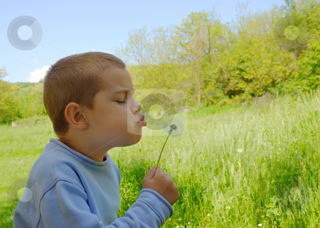 To use this stock image in your creative project, please select the size you need over to the right and click the "Add to Cart" button.
Your downloaded image will come with the Cutcaster watermark removed so don’t worry about the watermark you see on this page. Boy and a dandelion stock photo, A cute boy is blowing a dandelion by Ivan Paunovic