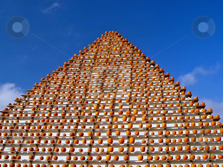 To use this stock image in your creative project, please select the size you need over to the right and click the "Add to Cart" button.
Your downloaded image will come with the Cutcaster watermark removed so don’t worry about the watermark you see on this page. Pyramid of pumkins stock photo, A pyramid with hundreds of orange pumpkins on it. Picture taken at a pumpkin contest in the region of Z??rich, Switzerland by Emmanuel Keller