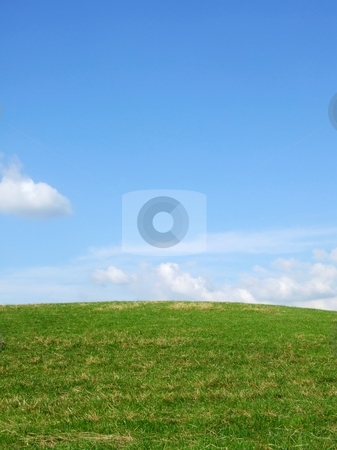To use this stock image in your creative project, please select the size you need over to the right and click the "Add to Cart" button.
Your downloaded image will come with the Cutcaster watermark removed so don’t worry about the watermark you see on this page. Background stock photo, Background with grass and blue sky by Juliet Photography