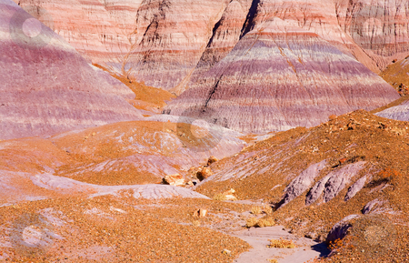 To use this stock image in your creative project, please select the size you need over to the right and click the "Add to Cart" button.
Your downloaded image will come with the Cutcaster watermark removed so don’t worry about the watermark you see on this page. Layers of Color stock photo, LAyer of Color in Petrified Forest National PArk in Arizona. by Mike Dawson