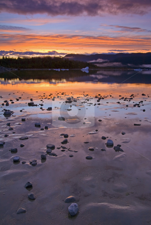 To use this stock image in your creative project, please select the size you need over to the right and click the "Add to Cart" button.
Your downloaded image will come with the Cutcaster watermark removed so don’t worry about the watermark you see on this page. Left by the Ice stock photo, Stones and sand left by the receding Mendenhall Glacier glow in the light of the setting Sun by Mike Dawson