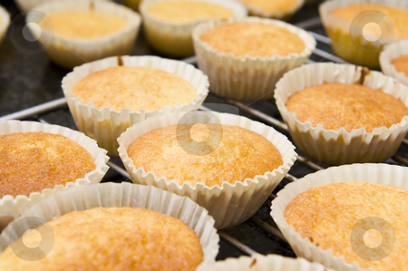 To use this stock image in your creative project, please select the size you need over to the right and click the "Add to Cart" button.
Your downloaded image will come with the Cutcaster watermark removed so don’t worry about the watermark you see on this page. Fresh cupcakes stock photo, Freshly baked cupcakes cooling down on an oven grid. by Nicolaas Traut