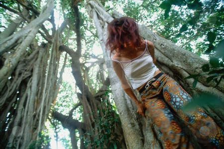 To use this stock image in your creative project, please select the size you need over to the right and click the "Add to Cart" button.
Your downloaded image will come with the Cutcaster watermark removed so don’t worry about the watermark you see on this page. MPIXIS550211 stock photo, Woman hugging tree by Mpixis World