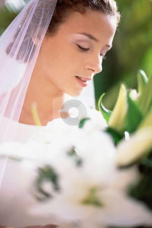 To use this stock image in your creative project, please select the size you need over to the right and click the "Add to Cart" button.
Your downloaded image will come with the Cutcaster watermark removed so don’t worry about the watermark you see on this page. Bride at wedding stock photo, Bride holding bouquet by Mpixis World