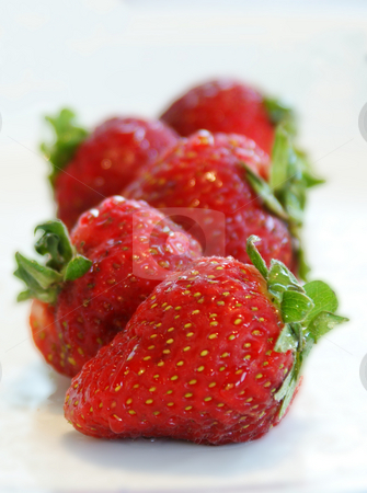 To use this stock image in your creative project, please select the size you need over to the right and click the "Add to Cart" button.
Your downloaded image will come with the Cutcaster watermark removed so don’t worry about the watermark you see on this page. Four strawberries stock photo, Four strawberries in a line with white background by Sam Sapp