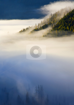 To use this stock image in your creative project, please select the size you need over to the right and click the "Add to Cart" button.
Your downloaded image will come with the Cutcaster watermark removed so don’t worry about the watermark you see on this page. Of light and Shadow stock photo, A bit of morning light illuminates the dark forest below the fog here and there and a ridge of fir and larch emerge into the light on the far side. by Mike Dawson