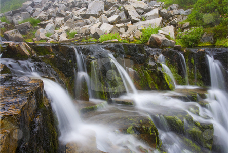 To use this stock image in your creative project, please select the size you need over to the right and click the "Add to Cart" button.
Your downloaded image will come with the Cutcaster watermark removed so don’t worry about the watermark you see on this page. Mountain Cascade stock photo, A small cascade lined with wildlflowers along sunbeam creek near Mt. Rainier. by Mike Dawson