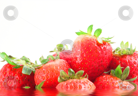 To use this stock image in your creative project, please select the size you need over to the right and click the "Add to Cart" button.
Your downloaded image will come with the Cutcaster watermark removed so don’t worry about the watermark you see on this page. Wet Strawberries stock photo, A bunch of delicious strawberries sitting in cool water. by Robert Byron