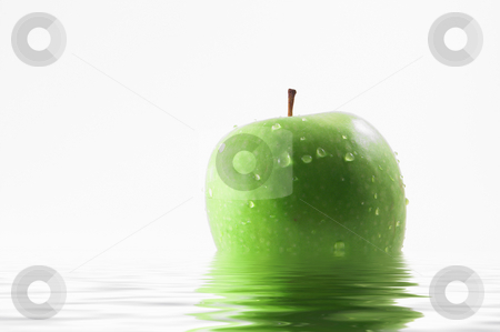 To use this stock image in your creative project, please select the size you need over to the right and click the "Add to Cart" button.
Your downloaded image will come with the Cutcaster watermark removed so don’t worry about the watermark you see on this page. Wet Apple stock photo, A wet apple sitting in water. by Robert Byron