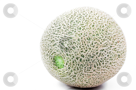 To use this stock image in your creative project, please select the size you need over to the right and click the "Add to Cart" button.
Your downloaded image will come with the Cutcaster watermark removed so don’t worry about the watermark you see on this page. Cantaloupe stock photo, Delicious and freshly picked natural organic cantaloupe. by Robert Byron