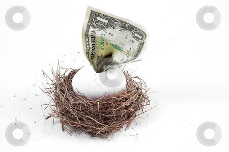 To use this stock image in your creative project, please select the size you need over to the right and click the "Add to Cart" button.
Your downloaded image will come with the Cutcaster watermark removed so don’t worry about the watermark you see on this page. Nest Egg stock photo, A dollar bill hatching from an egg in a nest. by Robert Byron
