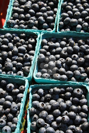 To use this stock image in your creative project, please select the size you need over to the right and click the "Add to Cart" button.
Your downloaded image will come with the Cutcaster watermark removed so don’t worry about the watermark you see on this page. Boxes of Fresh Blueberries stock photo, by Tom and Beth Pulsipher