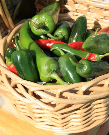 To use this stock image in your creative project, please select the size you need over to the right and click the "Add to Cart" button.
Your downloaded image will come with the Cutcaster watermark removed so don’t worry about the watermark you see on this page. Green Peppers stock photo, Green peppers in a basket at the farmers market by Tom and Beth Pulsipher