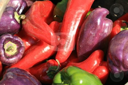 To use this stock image in your creative project, please select the size you need over to the right and click the "Add to Cart" button.
Your downloaded image will come with the Cutcaster watermark removed so don’t worry about the watermark you see on this page. Red and Purple Peppers stock photo, Red and purple peppers at the farmers market by Tom and Beth Pulsipher