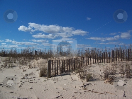 To use this stock image in your creative project, please select the size you need over to the right and click the "Add to Cart" button.
Your downloaded image will come with the Cutcaster watermark removed so don’t worry about the watermark you see on this page. Beach dunes stock photo, Sand dunes and blue sky on the Texas coast by Sam Sapp