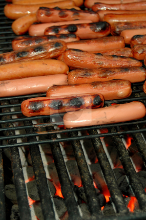 To use this stock image in your creative project, please select the size you need over to the right and click the "Add to Cart" button.
Your downloaded image will come with the Cutcaster watermark removed so don’t worry about the watermark you see on this page. Hot Dogs are a favorite of many for outdoor cookout, Bar-B-Ques stock photo, Hot dogs are grilling on a large outdoor grill at a park. A favorite of many for outdoor picnics. by Janie Mertz