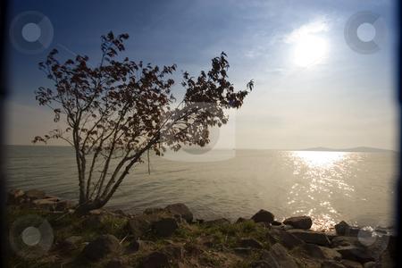 To use this stock image in your creative project, please select the size you need over to the right and click the "Add to Cart" button.
Your downloaded image will come with the Cutcaster watermark removed so don’t worry about the watermark you see on this page. Lake Balaton, Hungary stock photo, Lake Balaton, Hungary by Fesus Robert