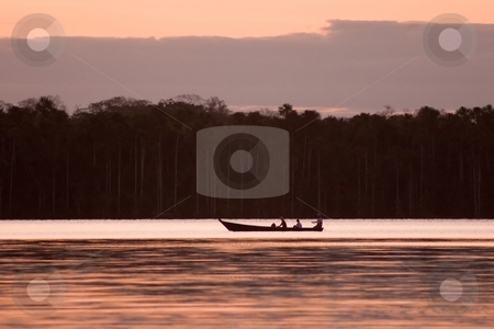 To use this stock image in your creative project, please select the size you need over to the right and click the "Add to Cart" button.
Your downloaded image will come with the Cutcaster watermark removed so don’t worry about the watermark you see on this page. Lake Sandoval stock photo, Lake Sandoval is located Tambopata-Candamo which is a nature reserve in the Peruvian Amazon Basin south of the Madre de Dios River by Mariusz Jurgielewicz