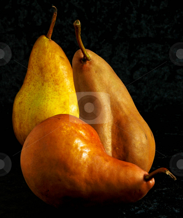 To use this stock image in your creative project, please select the size you need over to the right and click the "Add to Cart" button.
Your downloaded image will come with the Cutcaster watermark removed so don’t worry about the watermark you see on this page. Pears stock photo, Pear still life by Elf Evans