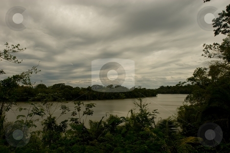 To use this stock image in your creative project, please select the size you need over to the right and click the "Add to Cart" button.
Your downloaded image will come with the Cutcaster watermark removed so don’t worry about the watermark you see on this page. Lake Sandoval stock photo, Lake Sandoval is located Tambopata-Candamo which is a nature reserve in the Peruvian Amazon Basin south of the Madre de Dios River by Mariusz Jurgielewicz