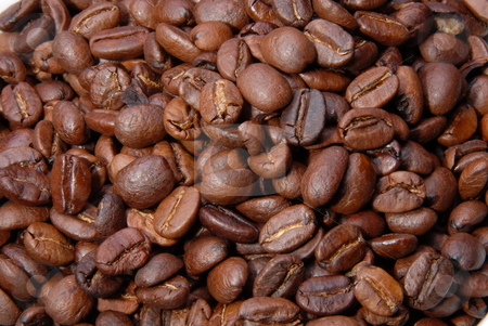 To use this stock image in your creative project, please select the size you need over to the right and click the "Add to Cart" button.
Your downloaded image will come with the Cutcaster watermark removed so don’t worry about the watermark you see on this page. Fresh coffee beans stock photo, Studio close up of hundreds of coffee beans by Joanna Szycik